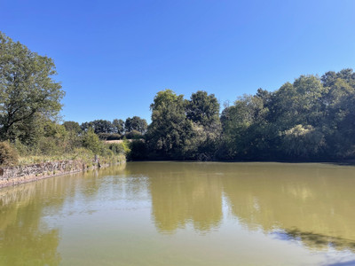French property for sale in Luchapt, Vienne - €318,000 - photo 1