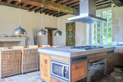 French property for sale in Luchapt, Vienne - €530,000 - photo 4