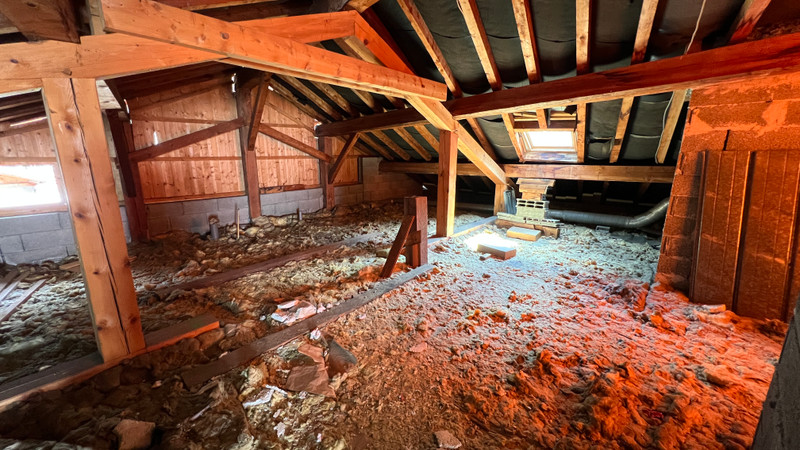 Ski property for sale in Sainte Foy - €1,300,000 - photo 4