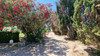 French property for sale in Argeliers, Aude - €290,000 - thumbnail 14