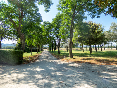 LA-BEGUDE-DE-MAZENC, Provence, 18th century Mas, 419 M2, swimming pool, 1,7 ha of land, magnificent views