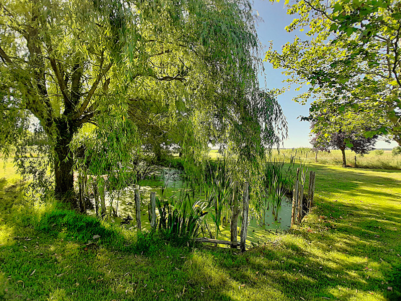 French property for sale in Petit-Bersac, Dordogne - €214,000 - photo 13