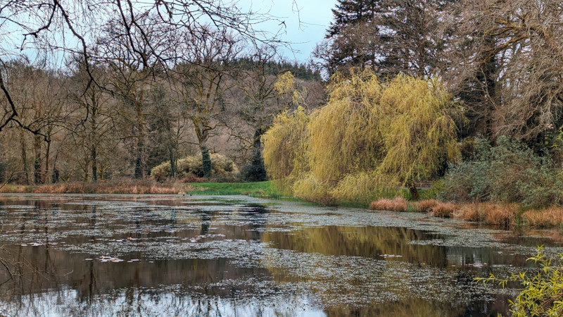 French property for sale in Ploërdut, Morbihan - €604,200 - photo 13