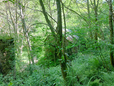 French property for sale in Espagnac, Corrèze - €48,750 - photo 12