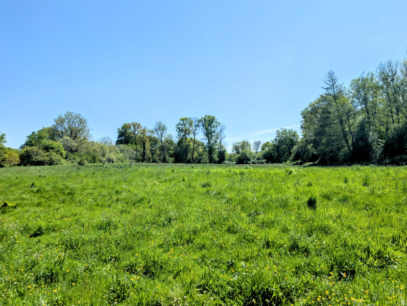 French property for sale in Meilhac, Haute-Vienne - €93,500 - photo 4
