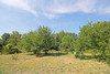 French property for sale in Belvèze-du-Razès, Aude - €450,000 - thumbnail 14