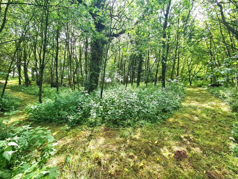 French property for sale in Passais Villages, Orne - €170,000 - photo 14