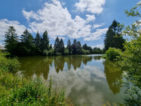 Lacs à vendre à Charchigné, Mayenne - 549.520 € - photo 9