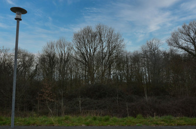 Terrain à vendre à Vasles, Deux-Sèvres, Poitou-Charentes, avec Leggett Immobilier
