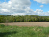 French property for sale in Édon, Charente - €77,000 - thumbnail 13