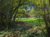 French property for sale in Saint-Priest-la-Marche, Cher - €79,200 - thumbnail 14
