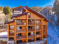 French ski chalets, properties in Les Allues, , 