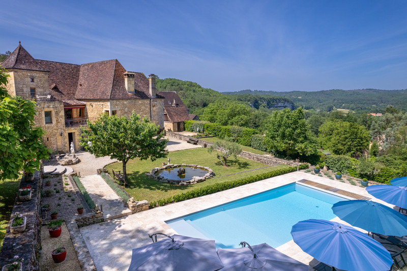 French property for sale in Peyzac-le-Moustier, Dordogne - €940,000 - photo 1