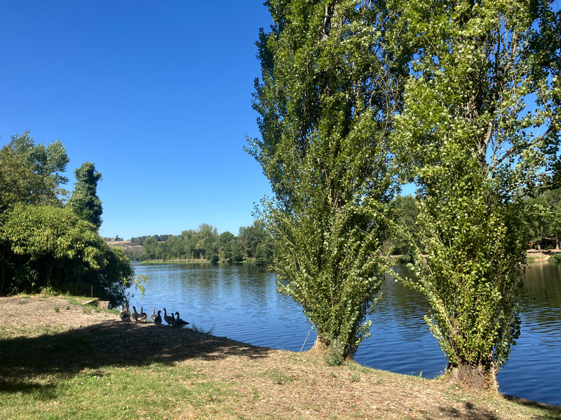 French property for sale in Availles-Limouzine, Vienne - €384,000 - photo 4