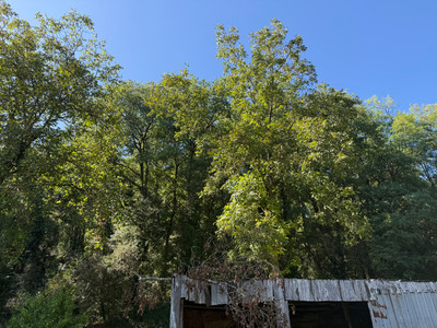 French property for sale in Gouex, Vienne - €50,000 - photo 12