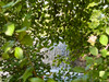 French property for sale in Eymet, Dordogne - €296,800 - thumbnail 9