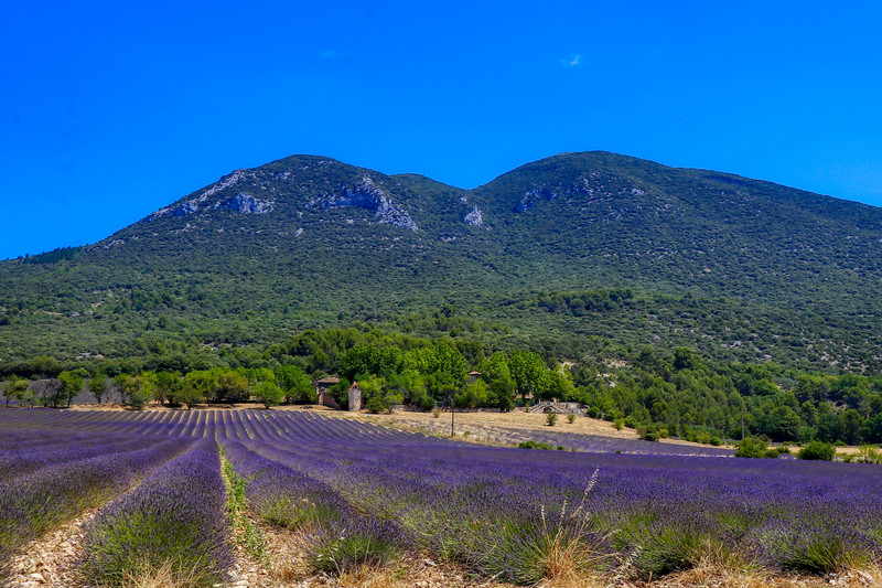 chateau for sale in Provence-Côte-D'Azur (Provence - Alpes - Côte d'Azur)