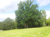 French property for sale in La Bachellerie, Dordogne - €23,000 - thumbnail 3