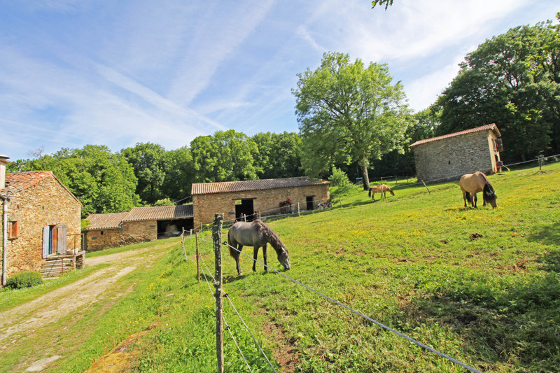 French property for sale in Verdun-en-Lauragais, Aude - €750,000 - photo 2