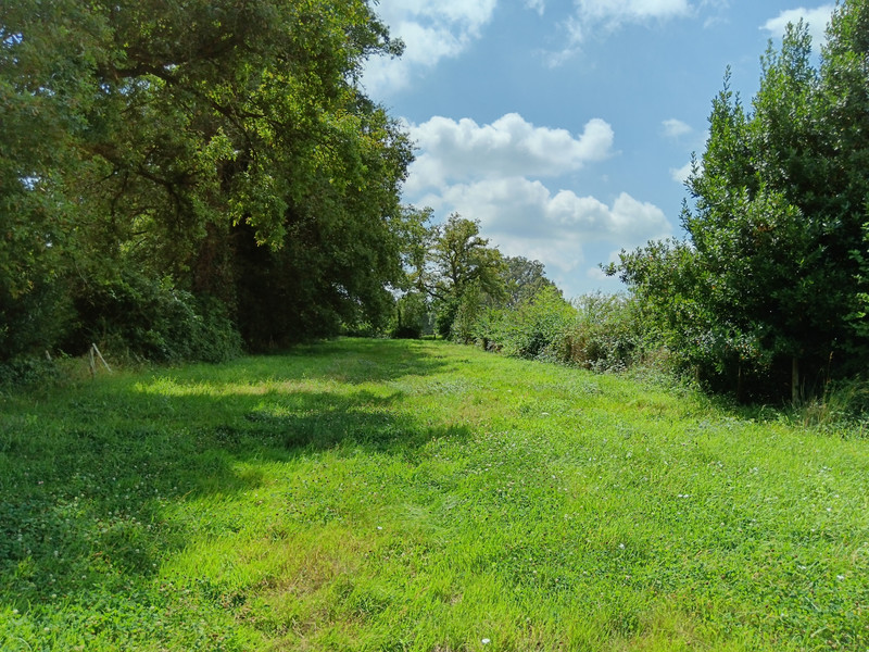 French property for sale in Alloue, Charente - €59,600 - photo 3