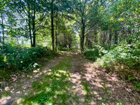 Lacs à vendre à Marval, Haute-Vienne - 315.000 € - photo 5
