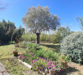 Propriété à vendre à Campagnan, Hérault - 319 000 € - photo n°2