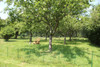 French property for sale in Saint-Mard-de-Réno, Orne - €226,500 - thumbnail 9