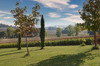 French property for sale in Le Temple-sur-Lot, Lot-et-Garonne - €620,000 - thumbnail 9
