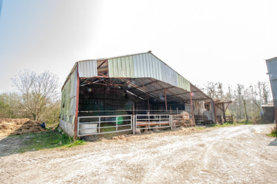 French property for sale in Cerisy-la-Forêt, Manche - €162,000 - photo 5