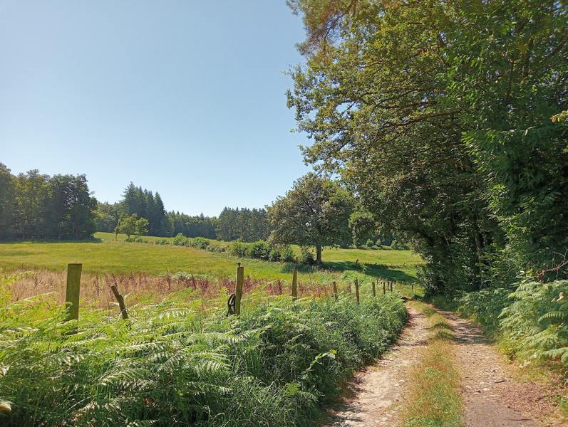 French property for sale in Marcillac-la-Croisille, Corrèze - €278,200 - photo 9