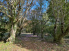 French property for sale in Bourdeilles, Dordogne - €435,000 - thumbnail 9