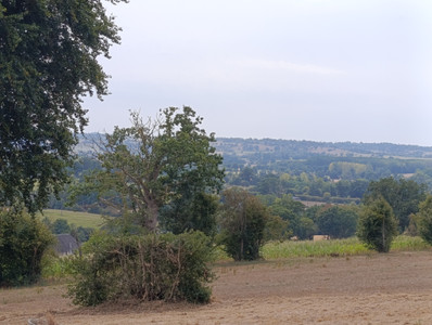 French property for sale in Landelles-et-Coupigny, Calvados - €131,000 - photo 5