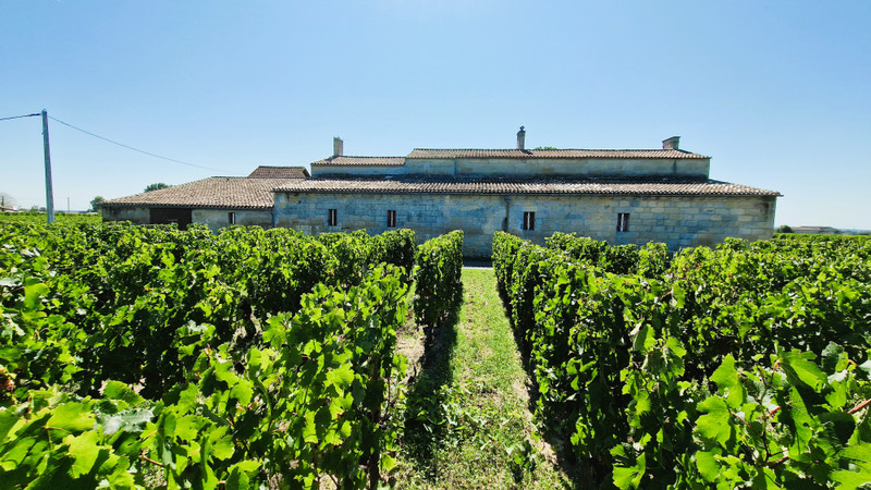French property for sale in Saint-Émilion, Gironde - €1,595,744 - photo 7