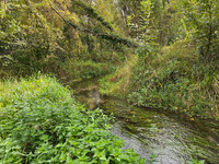 Propriété à vendre à Abbéville-la-Rivière, Essonne - 400 000 € - photo n°4