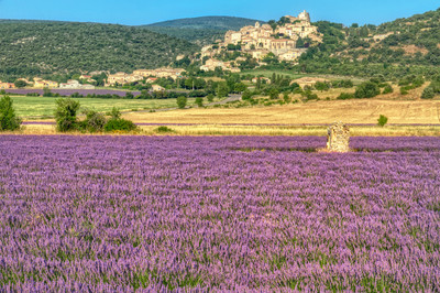 house for sale in Alpes-de-Haute-Provence