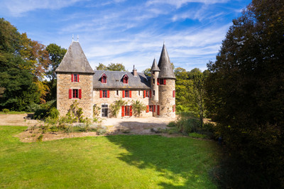 Lovely château situated privately in 12 hectares of woodland & meadows with a lake, orchard and guesthouse