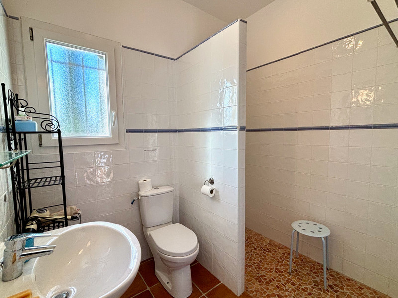 French property for sale in Saint-Ambroix, Gard - €500,000 - photo 9