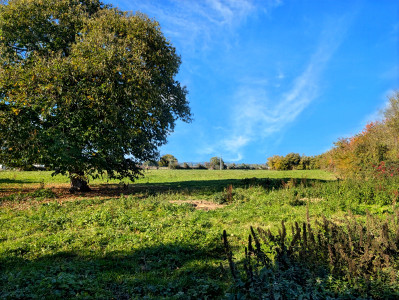 French property for sale in Courgeon, Orne - €170,000 - photo 1