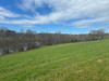 French property for sale in Ladignac-le-Long, Haute-Vienne - €130,800 - thumbnail 14