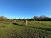 French property for sale in Sarzeau, Morbihan - €759,000 - thumbnail 9