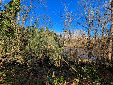 French property for sale in Sémalens, Tarn - €798,000 - photo 9