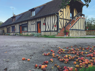 EXCEPTIONAL SALE: Prestige cider farm of international renown in Normandy + gite 