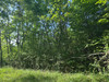 French property for sale in Bertric-Burée, Dordogne - €16,600 - thumbnail 14