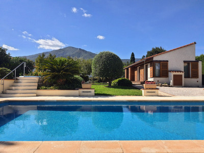 Breathtaking property of 2 DETACHED VILLAS,, heated pool, immaculate gardens.  15 mins Argeles sur Mer 
