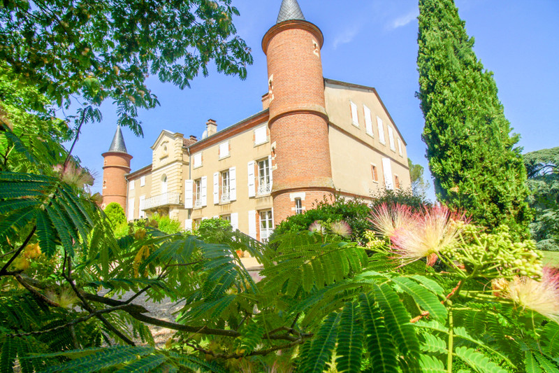 French property for sale in Cadalen, Tarn - €1,100,000 - photo 3