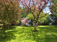 Maison à vendre à Limalonges, Deux-Sèvres - 189.000 € - photo 6