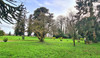 French property for sale in Mantilly, Orne - €510,000 - thumbnail 14
