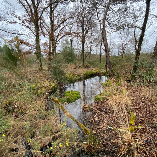 Terrain à vendre à Concoret, Morbihan - 147 150 € - photo 1 Terrain à vendre à Concoret, Morbihan - 147 150 € - photo 1