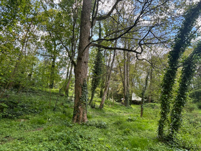 French property for sale in Laval, Mayenne - €1,970,000 - photo 8
