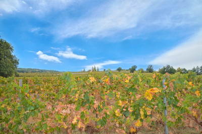 French property for sale in Saint-Sernin, Lot-et-Garonne - €2,650,000 - photo 6